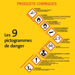 Pictogramme normalisé GHS Danger de mort