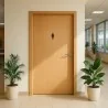 Pictogramme découpé TOILETTES FEMMES